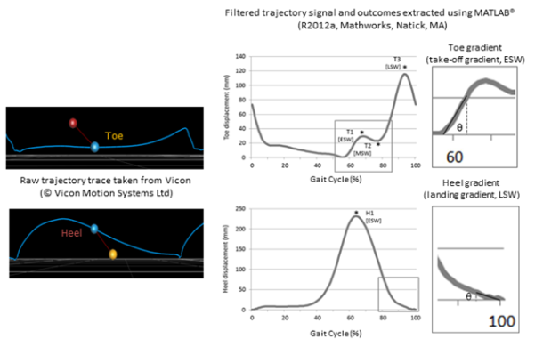 Application of vibration to the soles reduces minimum toe clearance  variability during walking